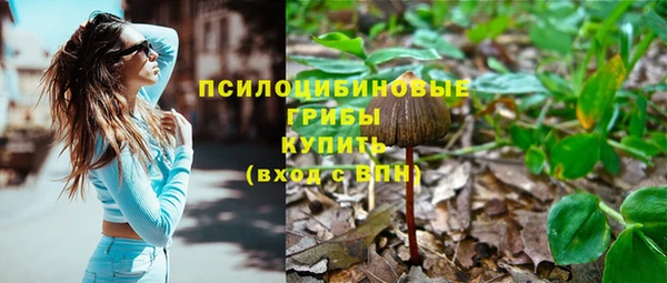 2c-b Алексеевка