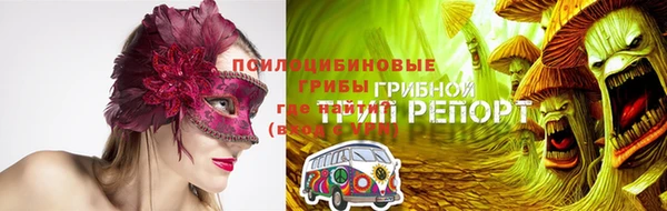 амф Алексин