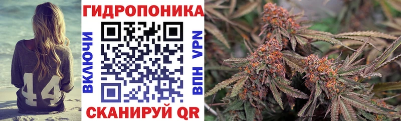 ссылка на мегу   Хвалынск  Конопля White Widow 